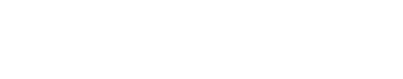 logo blanco nina nutt